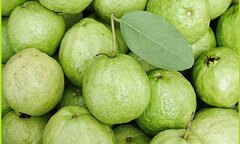 Mua ổi nên chọn quả sần sùi hay trơn nhẵn?