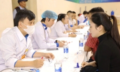 Phát hiện 973 trường hợp dương tính vi khuẩn gây bệnh dạ dày qua test nhanh