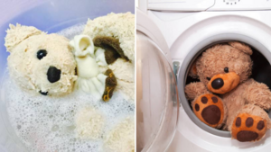 Cách giặt gấu bông cỡ lớn