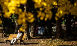 Mùa thu ấm nhất ở Nhật Bản suốt từ năm 1898