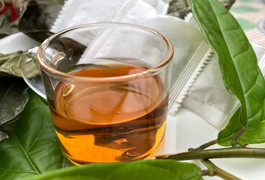 Cây xạ đen có chữa được ung thư vú?