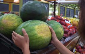 Làm sao nhận biết dưa hấu chín hay chưa?