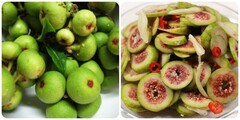 Bài thuốc chữa bệnh từ quả sung