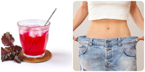 Uống nước lá tía tô hàng ngày có giảm cân?