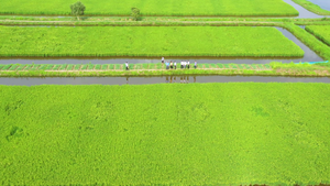 Giảm phát thải khí mê-tan: Yếu tố quyết định để ứng phó với biến đổi khí hậu