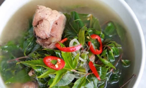 3 món ăn ngon từ lá đinh lăng rất dễ làm