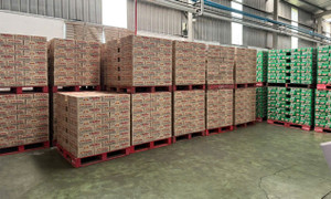 Thu giữ hơn 50 nghìn lon nước tăng lực nghi là hàng giả ở Bắc Ninh