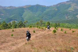 Check in đỉnh Phượng Hoàng mùa cỏ cháy