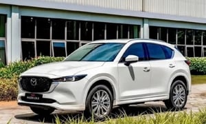 Có 900 triệu đồng, nên mua xe gầm cao nào?