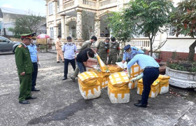 Phát hiện xe tải chở 750kg nội tạng động vật bốc mùi hôi thối ở Hòa Bình