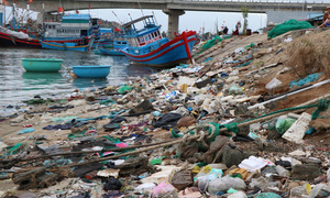 Rác thải nhựa, vỏ hàu bủa vây Đầm Nại ở Ninh Thuận