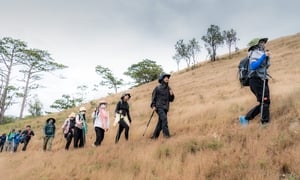 Trải nghiệm cung đường trekking đẹp nhất Việt Nam mùa cỏ cháy