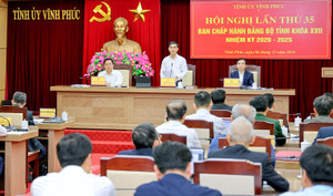 Chi tiết việc sắp xếp, sáp nhập các cơ quan, đơn vị tại Vĩnh Phúc