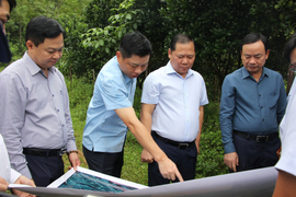 Hoà Bình: Tăng cường công tác kiểm tra, giám sát, xây dựng đảng bộ trong sạch