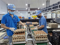 Doanh nghiệp TP.HCM tất bật lo hàng Tết, dồn lực chờ bùng nổ mua bán tháng Chạp