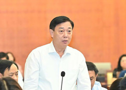 TP.HCM phân loại 1.000 tài sản công đang bỏ trống để bán đấu giá, cho thuê