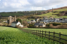 Cặp vợ chồng già chết cùng nhau khi người vợ bị chẩn đoán mắc bệnh hiểm nghèo