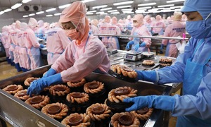 ‘Hiệp định VIFTA mở ra nhiều cơ hội lớn’