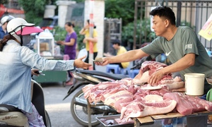 Giá heo hơi tăng nóng, giá heo ngoài chợ biến động thế nào?