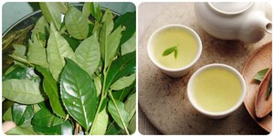 8 lợi ích của việc uống nước chè xanh mỗi ngày