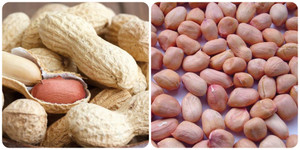 Những người nào không nên ăn lạc?