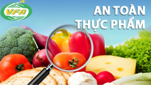Truy xuất tận cùng nguồn gốc thực phẩm gây nghi ngờ ngộ độc tại TP Vũng Tàu
