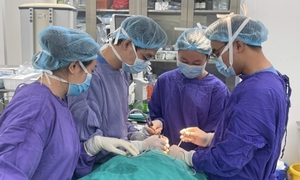 Cụ ông bị chó cắn đứt rời môi