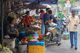 Tuyên truyền đảm bảo ATTP, dinh dưỡng đa dạng tăng cường sức khỏe dịp Tết Ất Tỵ