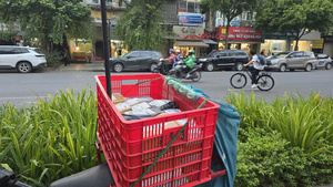 5 chủ thể chung tay 'xanh hóa’ sàn thương mại điện tử