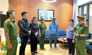 Bắt nữ đại gia lừa đảo bán đất chiếm đoạt hơn 50 tỷ đồng