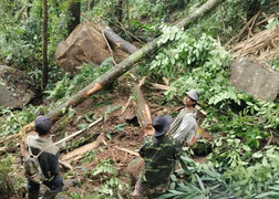 Nhiều tảng đá lớn lăn xuống làng Tu Hon, Quảng Nam công bố tình huống khẩn cấp