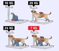 Thử thách tính số cân nặng 3 con vật