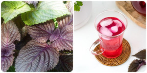 7 lợi ích của việc uống nước lá tía tô thường xuyên