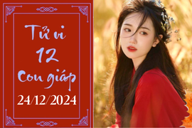 Tử vi 12 con giáp hôm nay ngày 24/12/2024: Thìn phát triển, Tỵ may mắn