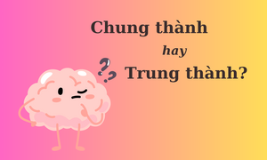 Thử thách Tiếng Việt: 'Chung thành' hay 'trung thành'?