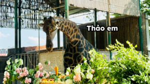 Tên riêng của các con vật tại Thảo Cầm Viên Sài Gòn khiến dân mạng 'phát sốt'