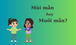 Nhiều người tranh cãi: 'Mùi mẫn' hay 'muồi mẫn'?