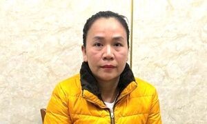 Bắt nữ quái lừa bán đất ảo chiếm đoạt tiền tỷ