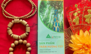Vòng trầm hương sinh học - món quà Tết ý nghĩa