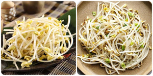 Thường xuyên ăn giá đỗ có tác dụng gì?