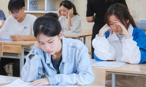 Top 3 ngành học dành cho người hướng nội, mức lương 50 triệu/tháng
