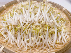 Đắk Lắk yêu cầu làm rõ việc 'đá bóng trách nhiệm' trong vụ giá đỗ ngâm chất cấm