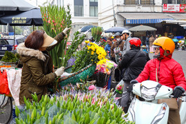 Thị trường mùng 1 cuối cùng của năm Giáp Thìn: Giá cau tăng gấp đôi