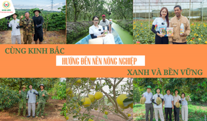 Giải pháp bền vững cho sức khỏe đất và dinh dưỡng cây trồng