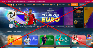 Hơn 900 website có dấu hiệu vi phạm pháp luật tại Việt Nam