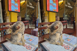 Những tính năng AI bạn thực sự cần trên smartphone