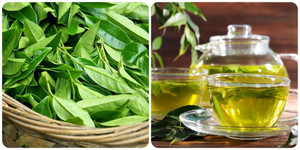 8 lợi ích của nước chè xanh với sức khoẻ