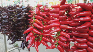 Khám phá ngôi làng phủ kín ớt đỏ ở Pháp