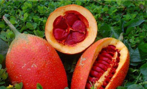 Thường xuyên ăn gấc bạn nhận được lợi ích gì?