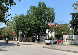 Tập đoàn Thiên Minh Đức dính 'lùm xùm' gì trước khi bị khám xét trụ sở?